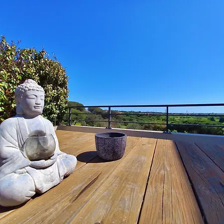Spacieux T3-toit Terrasse-clim-wifi-piscine